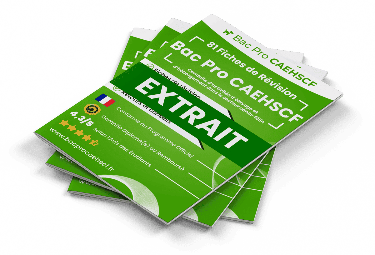 15 Fiches Révision gratuites Bac Pro CAEHSCF